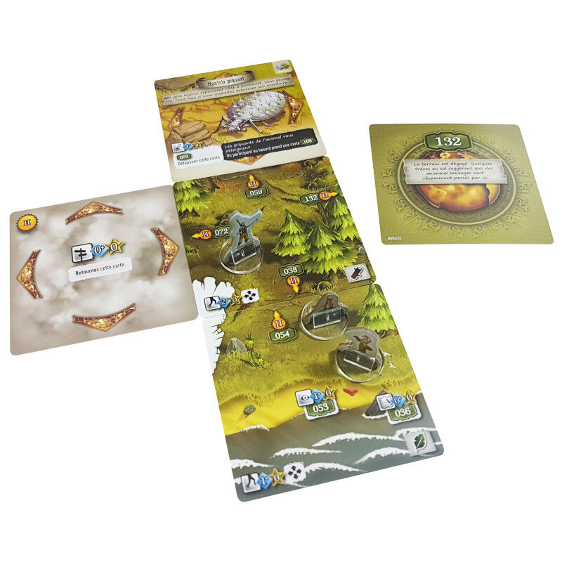 The 7th Continent Pegasus Spiele Spielmaterial