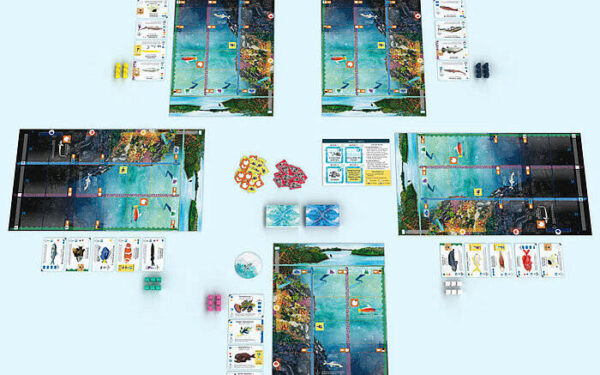 flossenschlag spielmaterial