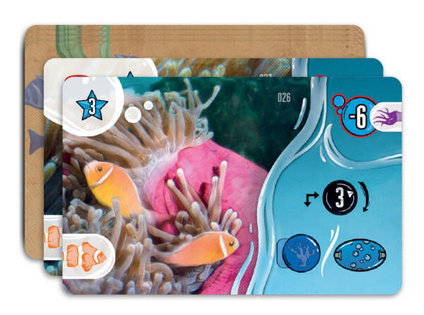 Aquaria Spielmaterial Detailansicht