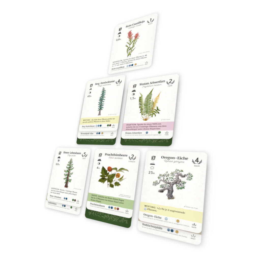 Reforest Board Game Circus Spielmaterial