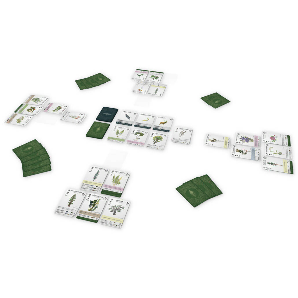Reforest Board Game Circus Spielmaterial